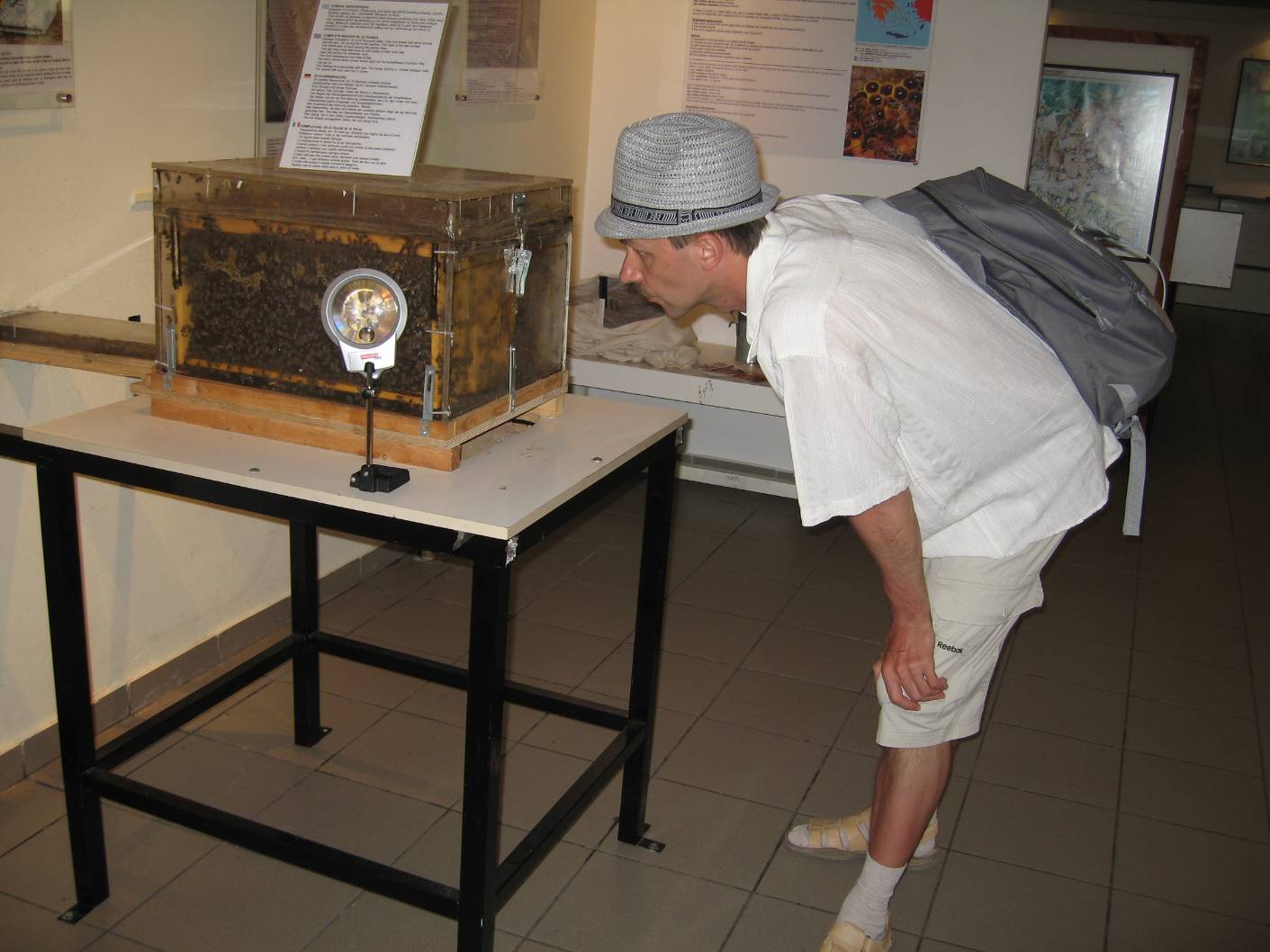 Родос музей пчел